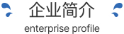 企业简介标题