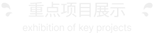 重点项目展示标题