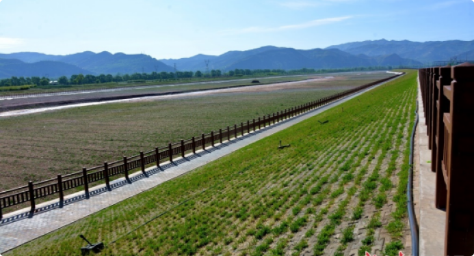 党建引领，水利先锋