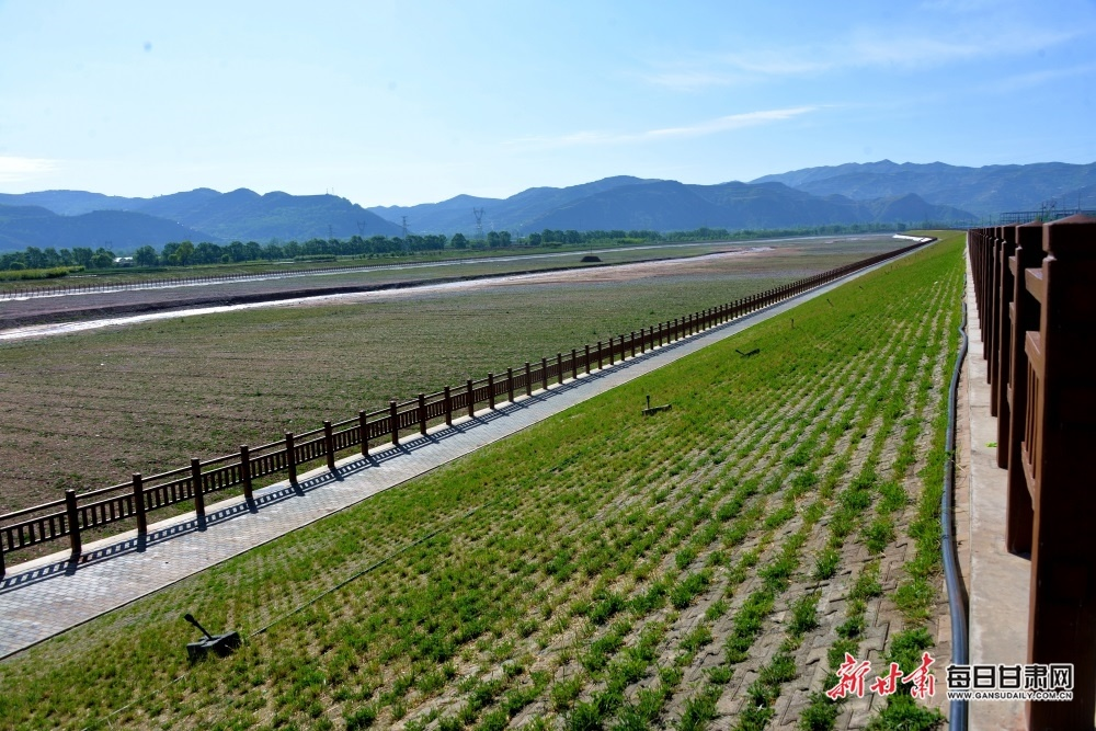 渭河生态综合治理工程（陇西段）第三标段